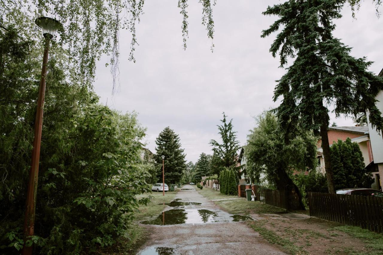 Apartman Buba Palić Exterior foto