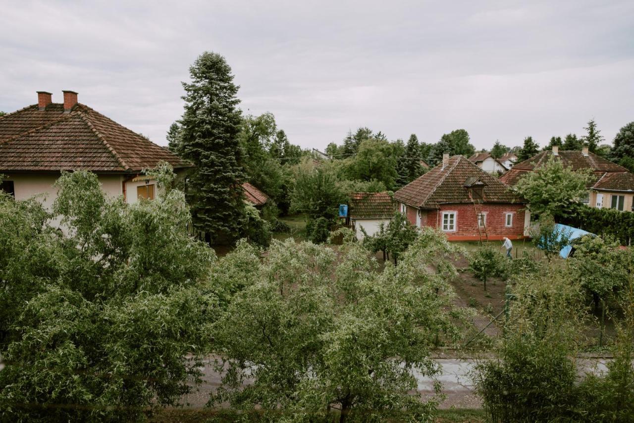 Apartman Buba Palić Exterior foto